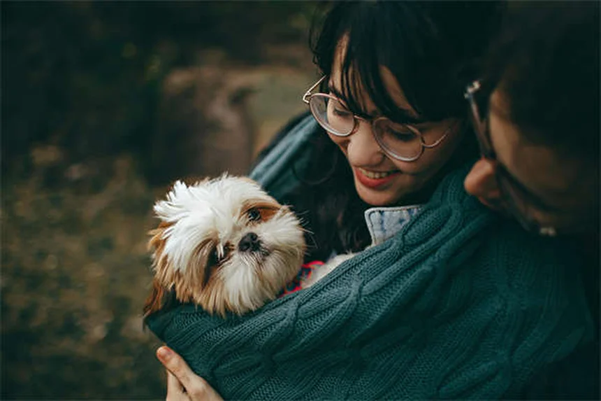 子犬の成長が止まる原因とは？獣医師が解説する発育不全の真実と対処法